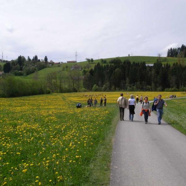 Kunstweg